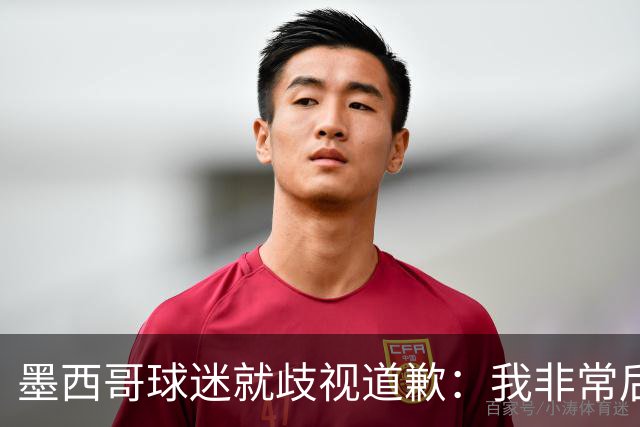 墨西哥球迷就歧视道歉：我非常后悔，已辞去工程师协会职务